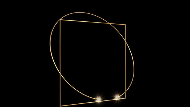 Golden Vitruvian Man Animation