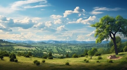 Obraz premium landscape with grass and sky, landscape with fields, panoramic view of green forest landscape, green jungle