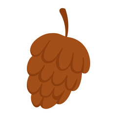 Vector pine cone in flat style, isolated on white background. A simple fir cone.