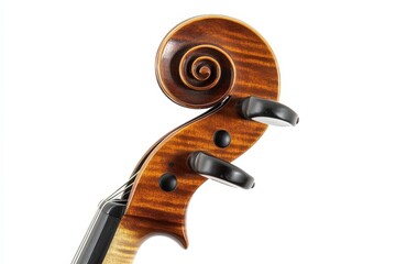 Close-Up of a Violin Scroll with Detailed Wood Grain and Fine Craftsmanship on White Background