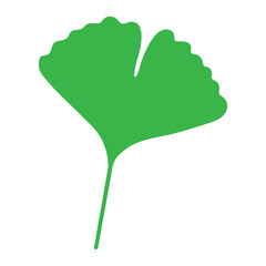 Green ginkgo biloba leaf isolated on white background. Flat design. Vector illustration.