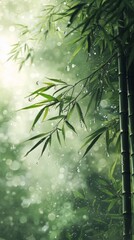 Gentle bamboo leaves glistening with droplets in a misty forest during a peaceful rain