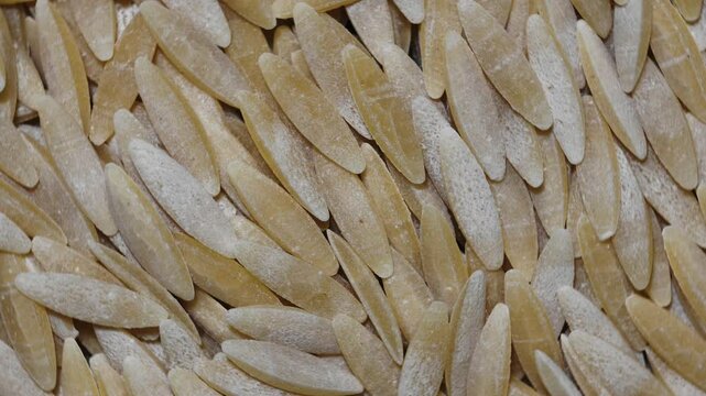 Top view macro video of Orzo (Risoni) Pasta on a Turntable. Piles of uncooked barley noodles, barley noodles.