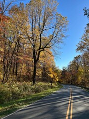 Obraz premium Scenic drive through fall foliage