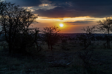 Naklejka premium Abend im Mara Kati Kati Camp