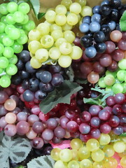 fruits and vegetables