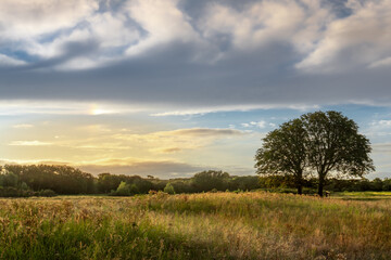 Obraz premium This is my kind of sunset