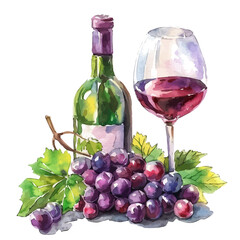 A watercolor vector of Wine, isolated on a white background.