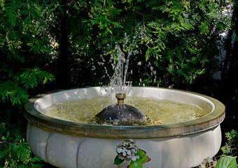 mała fontanna w ogrodzie, kamienna fontanna ogrodowa, mall fountain in the garden, water gushing from the garden fountain, stone garden fountain  © kateej