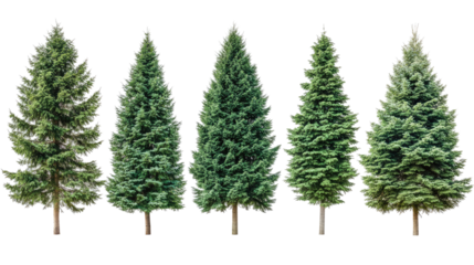 Collection of Five Green Trees Isolated on a Transparent Background Generative AI