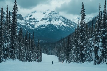 A woman on skis skiing in the alps on a winter landscape with snow and blue sky