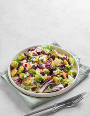 Vegetarian salad of roasted brussels sprouts with lettuce, quinoa, nuts and cranberries in a plate, on a light background