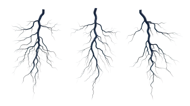 Artistic Representation of Tree Roots on a Transparent Background Generative AI