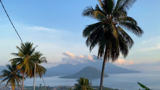 View of palm trees with mountains and sea as background 