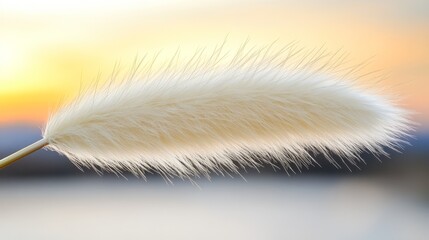 A close up of a white feather on a stick