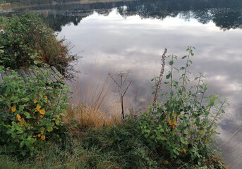 The sky is reflected in a river or a lake