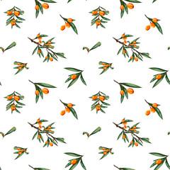 seamless pattern with sea buckthorn, watercolor. Juicy hand-drawn berries and twigs in a realistic style. Elements isolated on white background. For printing on fabrics. postcards, cosmetic packaging