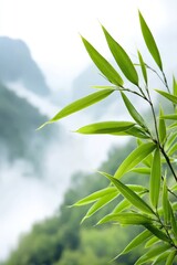 Obraz premium A close up of a green plant with mountains in the background