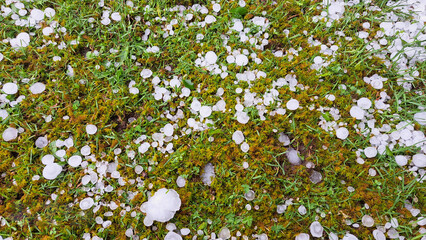 Damaging Hailstorm In Ontario, Canada
