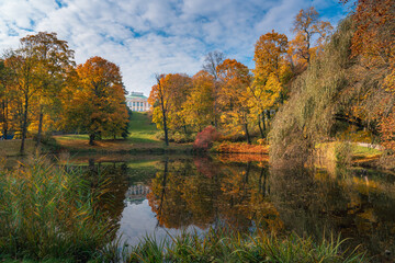Fototapeta premium Kolorowe liście na drzewach jesienią w miejskim parku