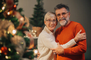 Senior couple embracing in front of christmas tree