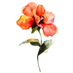 A watercolor vector of red flower, isolated on a white background.