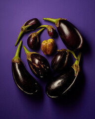 Green and purple bell pepper surrounded by eggplants