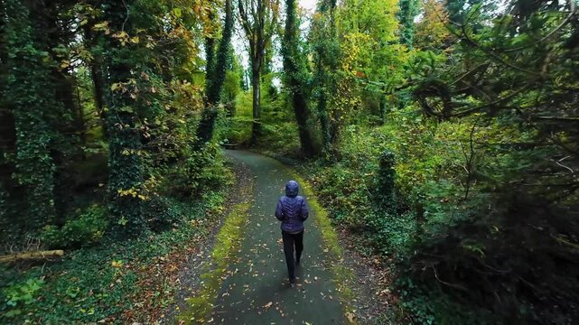 Woman in hooded jacket hiking trough green forest at Coole Park nature reserve, Galway, Ireland, sport and activity, adventure and lifestyle, 4k, aerial