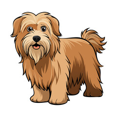 Briard dog breed vector illustration isolated on white background in cartoon style.