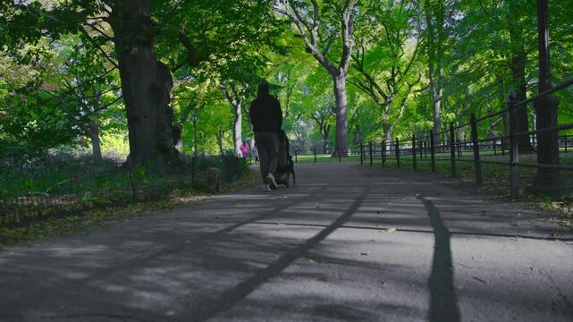 Central Park Through Time: Capturing the Seasonal Beauty, Landmarks, and Urban Oasis of New York City's Central Park in a Mesmerizing Timelapse