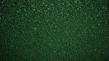 Lush boxwood leaves in deep green creating a formal garden background