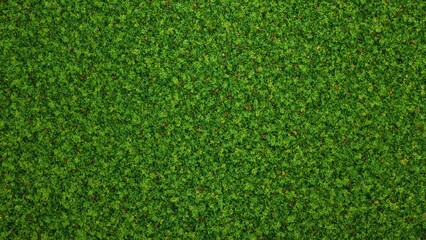 Vibrant orange tree leaves creating a fresh pattern