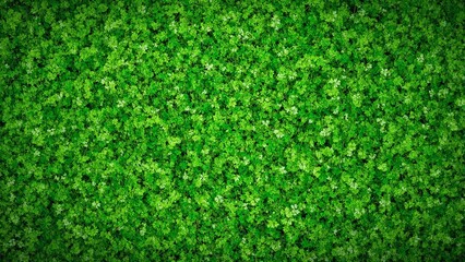 Vibrant green cilantro leaves create fresh intricate background texture