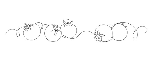 Fresh tomatoes drawn with continuous line in minimalism, one line, editable vector outline.