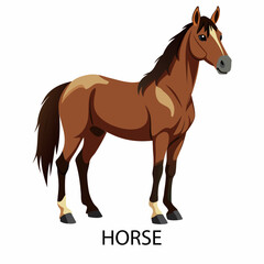 Obraz premium Horse symbol of 2026 in cartoon style on a white background. Vector illustration.