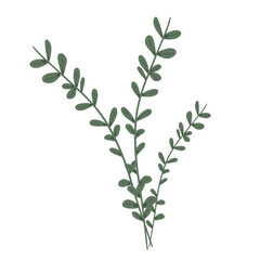 Botanical eco green leaves branch plant 