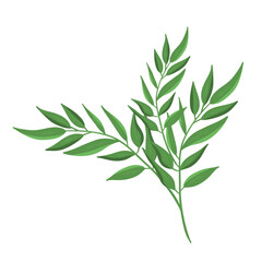 Botanical eco green leaves branch plant 