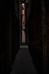 Fototapeta premium Venice and its canals ,boats,sculptures and birds