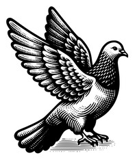 dove of peace