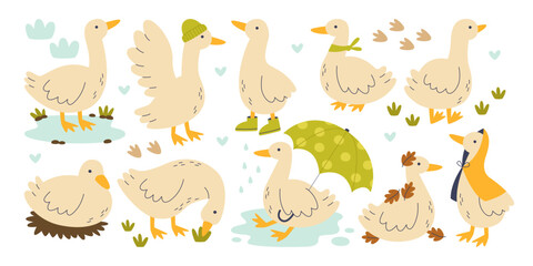 Naklejka premium Cute goose farm bird childish characters in different position and action outdoors isolated set