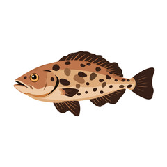 grouper fish