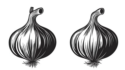 Obraz premium Isolated black silhouette logo of onion and garlic.