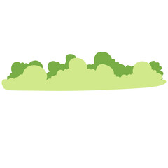 Big bush illustration