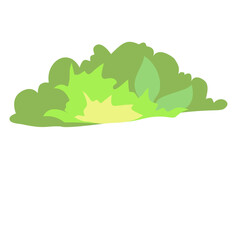 Obraz premium Bush nature scenery