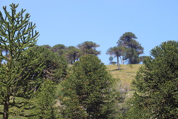 Beautiful landscape of patagonia argentina
