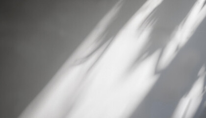 Natural Shadow Effect with Gradient Overlay on Clean White Background