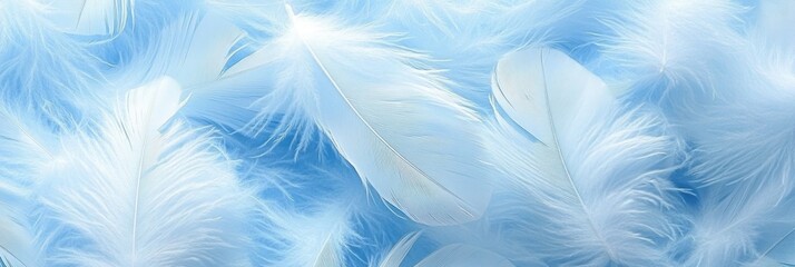 Obraz premium Soft blue and white feathers background.