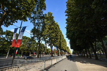 French Flags and Trees along the Champs-Élysées on a Summer Day - Paris, France