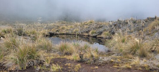 Desde las llanuras del tópico hasta las más altas cimbres andinas, los paisajes son únicos e irrepetibles: las maravillas de la región Andina  