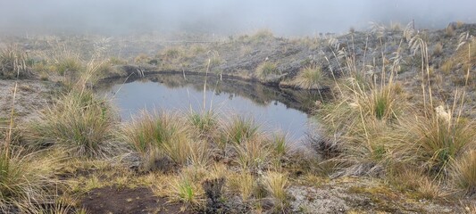 Desde las llanuras del tópico hasta las más altas cimbres andinas, los paisajes son únicos e irrepetibles: las maravillas de la región Andina  